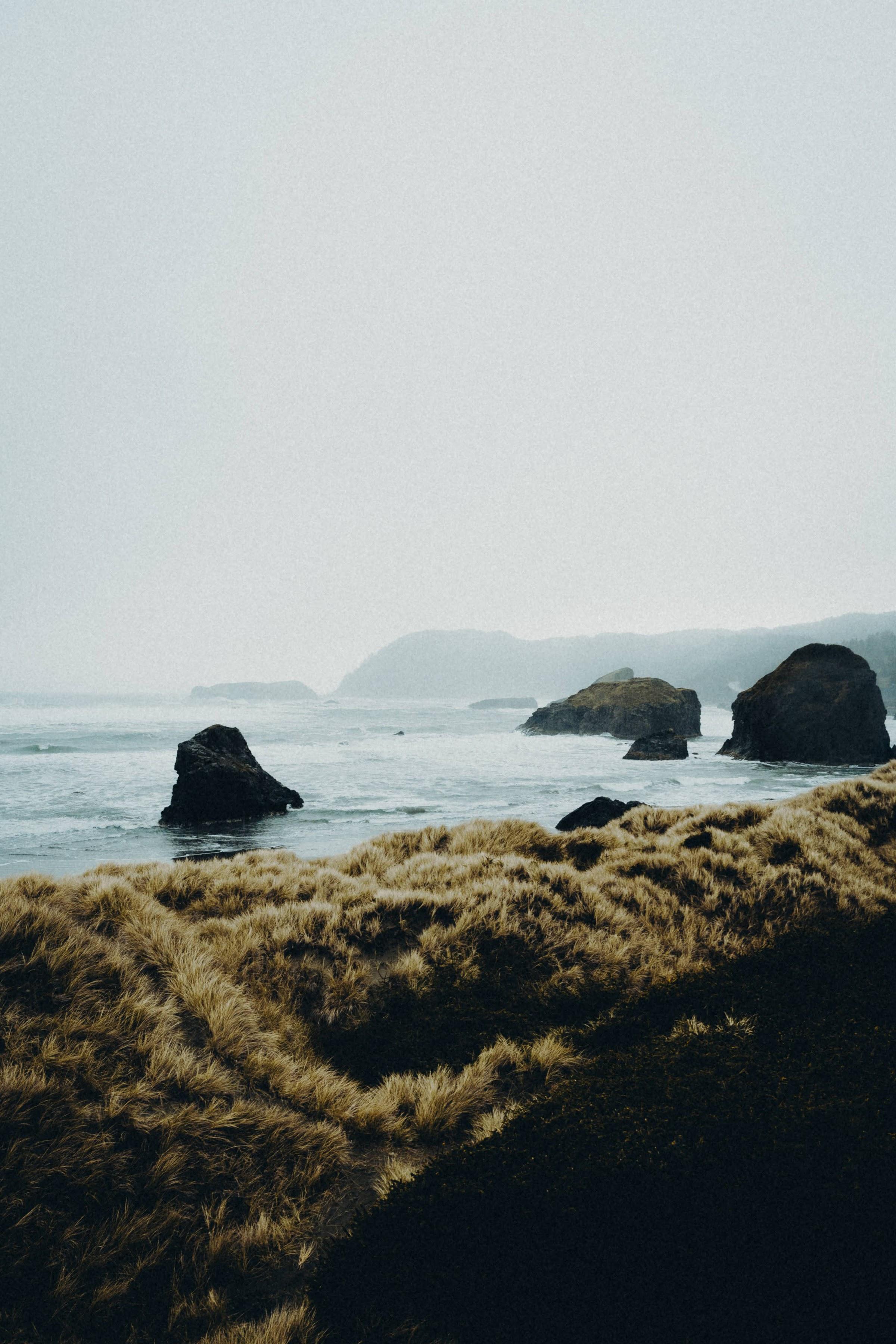 Oregon Coast grasses and ocean