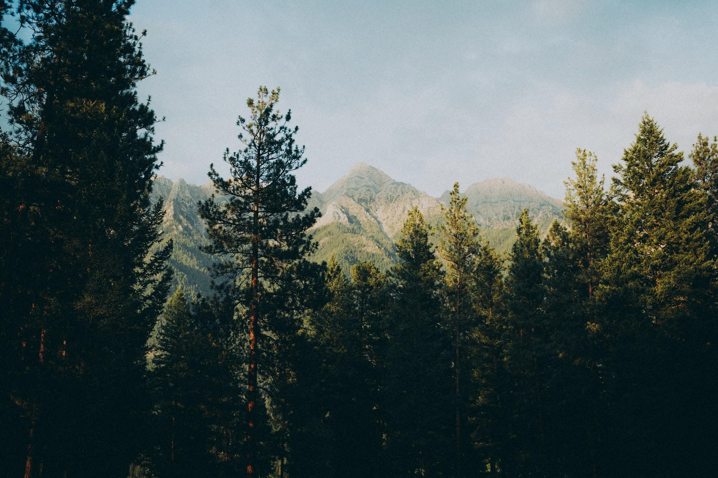 Canadian Rockies in morning light